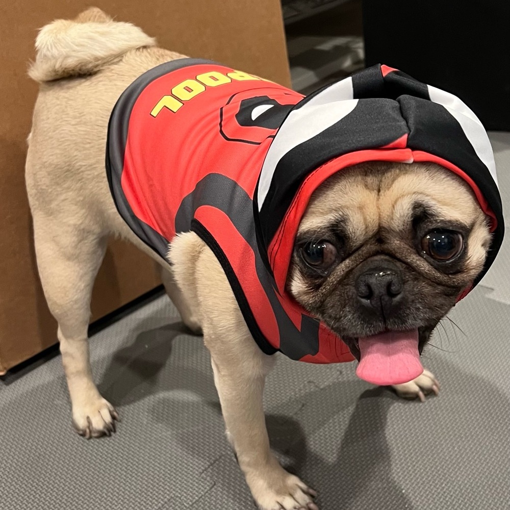 Dead Pool Dog pool Halloween pet costume NWOT size Medium